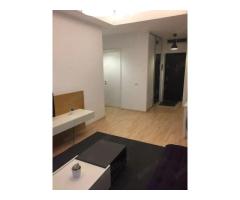 Apartament 2 camere zona Herastrau - Imagine 4