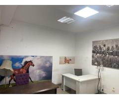 BRASADAS vinde ap Titulescu 100 mp + curte privată birou - Imagine 8