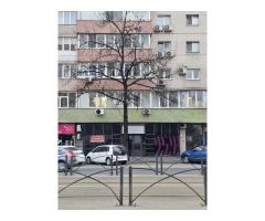 BRASADAS închiriază Spatiu Comercial 108mp Mosilor - Imagine 2