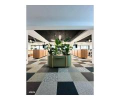 BRASADAS închiriază Office in imobil ultramodern, Unirii - Imagine 2