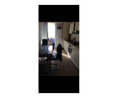 Ag BRASADAS vinde ap 2 cam et 2/3 Prelungirea Ghencea - Imagine 4