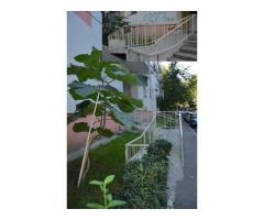 PROPRIETAR, 2 cam decomandat, deosebit, Tei, Contract ANAF, Loc Parcare - Imagine 10