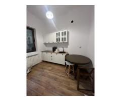 Ag BRASADAS vinde vila 8 camere Parcul Carol - Imagine 3
