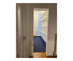 Ag BRASADAS vinde vila 8 camere Parcul Carol - Imagine 12
