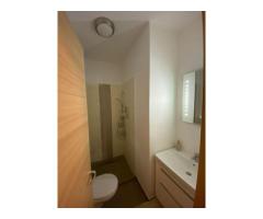 Apartament 4 Camere Zona Sisesti de închiriat - Imagine 5