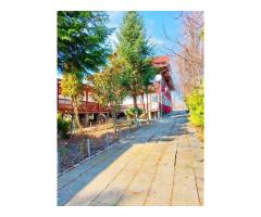 Snagov Primarie apropiere lac