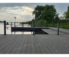 Vis mediteranean pe lacul Snagov - Izvorani - Imagine 5