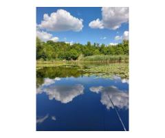 Vila cu ponton la lacul Snagov - Imagine 2
