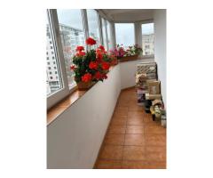 Apartament de vânzare str. Nerva Traian lângă școala 81 - Imagine 5
