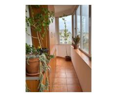 Apartament de vânzare str. Nerva Traian lângă școala 81 - Imagine 8