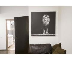 De vanzare Apartament cu 4 camere si dependite-  Ultra central- strada sepcari 9
