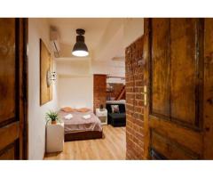 Ag BRASADAS vinde villa cu 20 camere Pta ROMANA. - Imagine 7