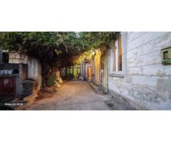 Ag. Brasadas vinde casa calea Călărașilor coposu
