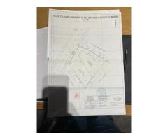 Proprietate exceptionala - Armeneasca - Cercului 2A - Imagine 4