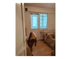 Proprietar închiriez apartament cu doua camere in zona Teiul Doamnei - Imagine 8