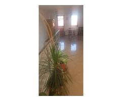 Proprietar inchiriez Vila P+2,din 2012,suprafata 345 mp, DAMAROAIA,S1 - Imagine 5