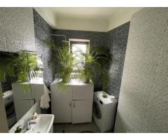 Proprietar - Dorobanti - Spatiu comercial-birouri - Av. Radu Beller 4 - Imagine 7