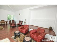Cișmigiu, Vila interbelica eleganta D+P+1, curte - Imagine 4
