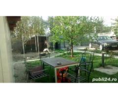 Parter Vila apartament Serban Voda 207 - Imagine 7