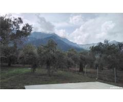 Skala Potamia Thassos-casa piatră+studio+cabană lemn,dependinte, 2500mp teren,700m până la mare.... - Imagine 2