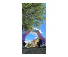 Vand 2case parter şi teren 985mp sau parteneriat construire zona Foişorul de Foc - Imagine 12