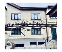 Vila / Spatiu Comercial Stradal 20m deschidere