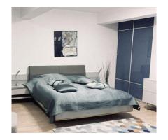 Vila / Spatiu Comercial Stradal 20m deschidere - Imagine 2