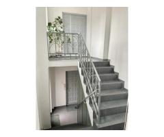 Vila / Spatiu Comercial Stradal 20m deschidere - Imagine 3