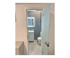 Vila / Spatiu Comercial Stradal 20m deschidere - Imagine 5