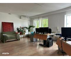 Casa cu mesteacan - DIRECT PROPRIETARI! - spectaculos toamna - Imagine 9