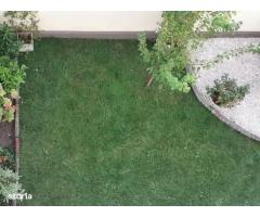 Casa cu mesteacan - DIRECT PROPRIETARI! - spectaculos toamna - Imagine 10