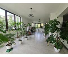 Balotesti vila de lux 8 camere, 450mp utili, la 20 min de Bucuresti - Imagine 8