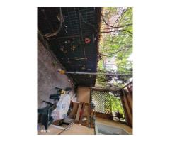 Cotroceni! Vand 530.000 Eur / Inchiriez 1450 eur, vila singur curte. - Imagine 2