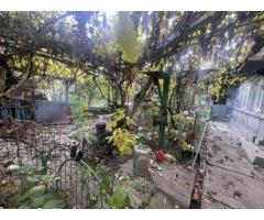 Casă de vânzare sector 1 Bucuresti - Imagine 3
