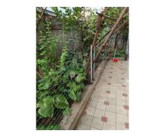280 mp,cart.23+teren total 273mp,P+E,,mobilat(ne)toate facilit - Imagine 5