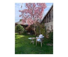 Vand  casa curte  + teren + SPATIU COMERCIAL - Imagine 3