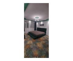 Vila Sector 5 preț 155000 euro  300mp - Imagine 4