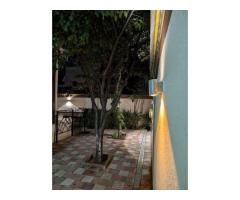 Bazilescu,2012,5 cam.+pod mansardabil,garaj,luminoasa si eleganta,zona curata - Imagine 9