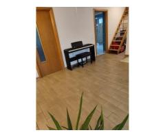Proprietar, vand vila individuala Siseşti, singur in curte - Imagine 8
