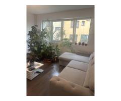 3 camere renovat Piata domenii - Imagine 3