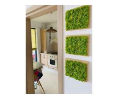 Apartament spaţios şi modern Greenfield Baneasa - 3 camere, 76 mp, parcare - Imagine 11