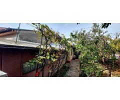 Proprietar casa individuala Bucurestii Noi-Aeromodelului- FARA AGENTII - Imagine 4