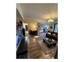 Apartament 4 camere Alexandru Obregia 35 mobilat utilat 100 mp.