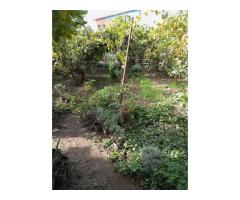 Casă și teren zonă ultracentrală,560 000 euro - Imagine 4