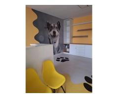 Casa de vanzare Sararie - Copou - Imagine 3