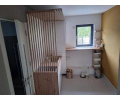 Casa de vanzare Sararie - Copou - Imagine 7