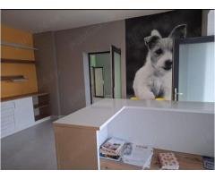 BRASADAS vinde casa 4 cam Sararie - Copou. - Imagine 3