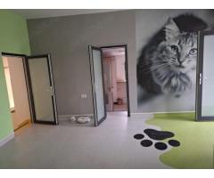 BRASADAS vinde casa 4 cam Sararie - Copou. - Imagine 6