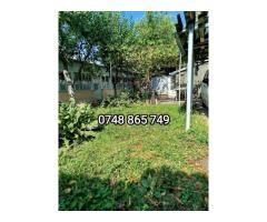 OPORTUNITATE ! Casa 3 C 100 m  + teren 350 m , P de Piatra_Palas Campus - Imagine 2