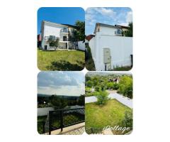 Vila Plopii fara sot, Bucium - Proprietar - Imagine 3